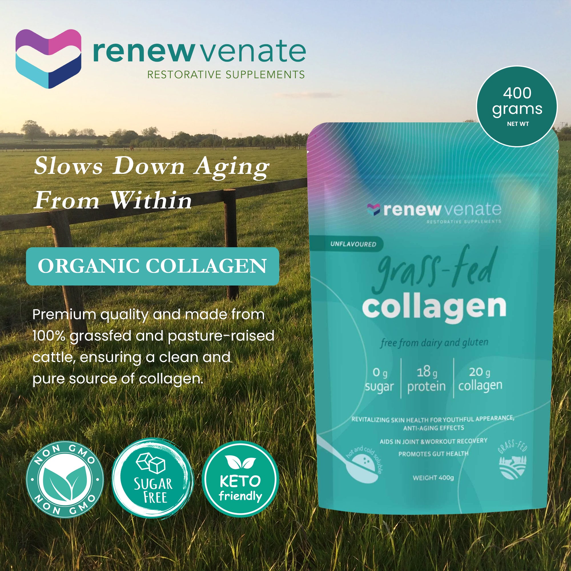 Grassfed Collagen Powder